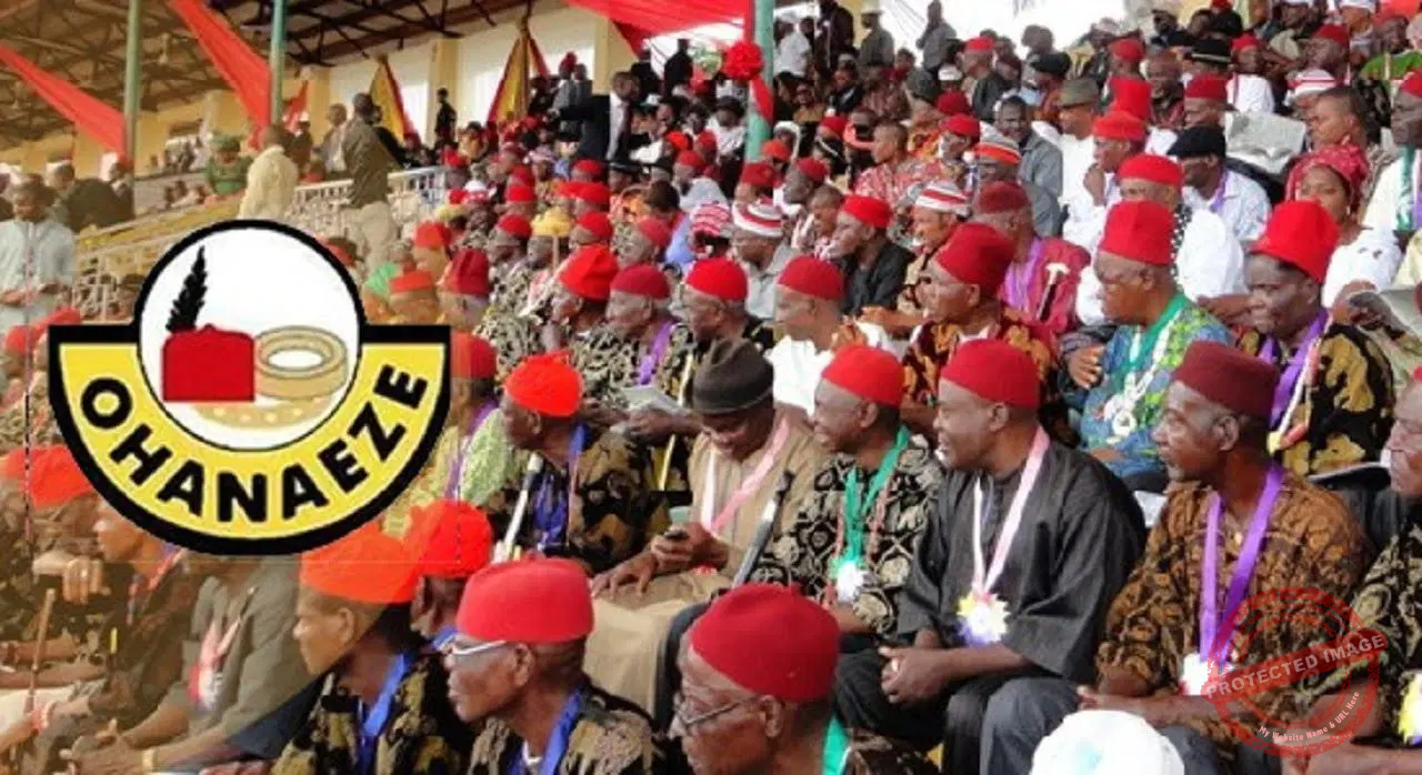 Presidents-General of Ohanaeze Ndigbo: A Historical Overview 7 Presidents-General of Ohanaeze Ndigbo