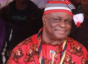 Uche Onwubiko Ajunwa